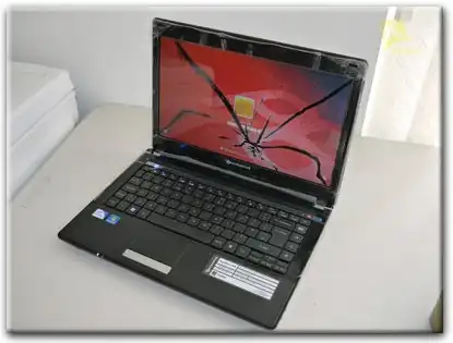 Замена матрицы Packard Bell в Елабуге